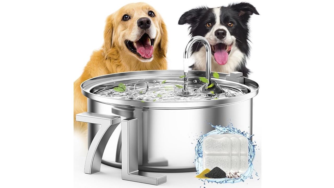 Oneisall Dog Water Fountain Smart Water Fountain with two dogs behind. 