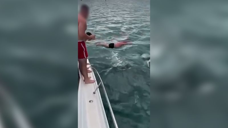 ‘I touched it!’: New Zealand man fined after trying to ‘body slam’ an orca