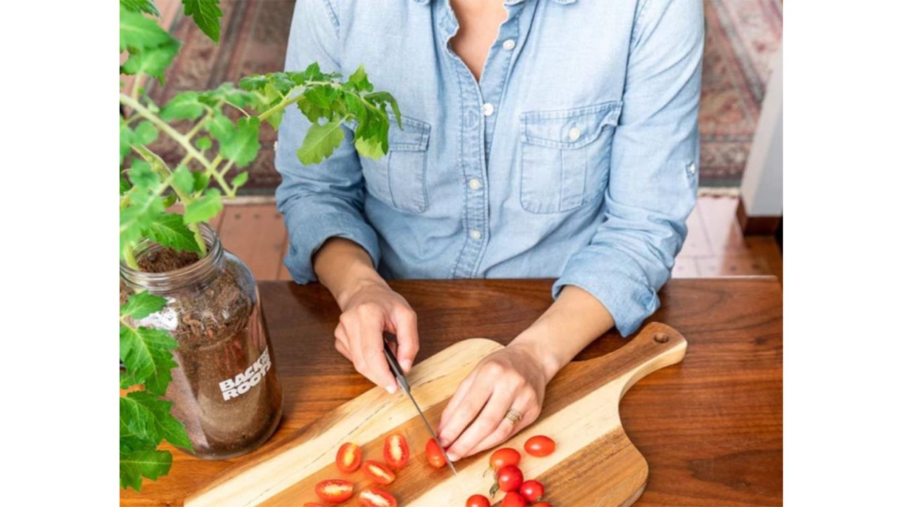 Organic Cherry Tomato Windowsill Planter