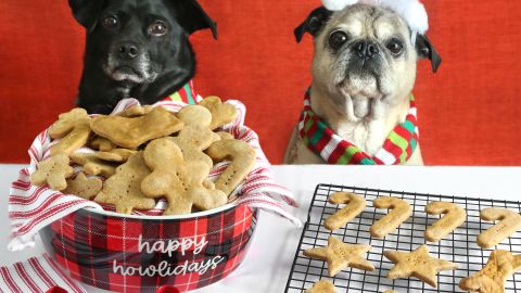 https://media.cnn.com/api/v1/images/stellar/prod/original-heather-baird-christmas-cookies-for-dogs-beauty-horiz-with-dogs.jpg?c=16x9&q=h_270,w_480,c_fill