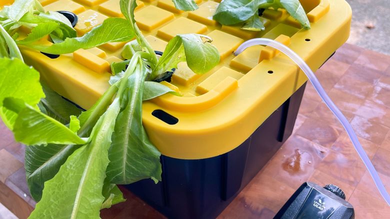 It doesn't take much to build an effective DIY hydroponic garden, which nourishes plants with nutrient-rich water rather than soil.