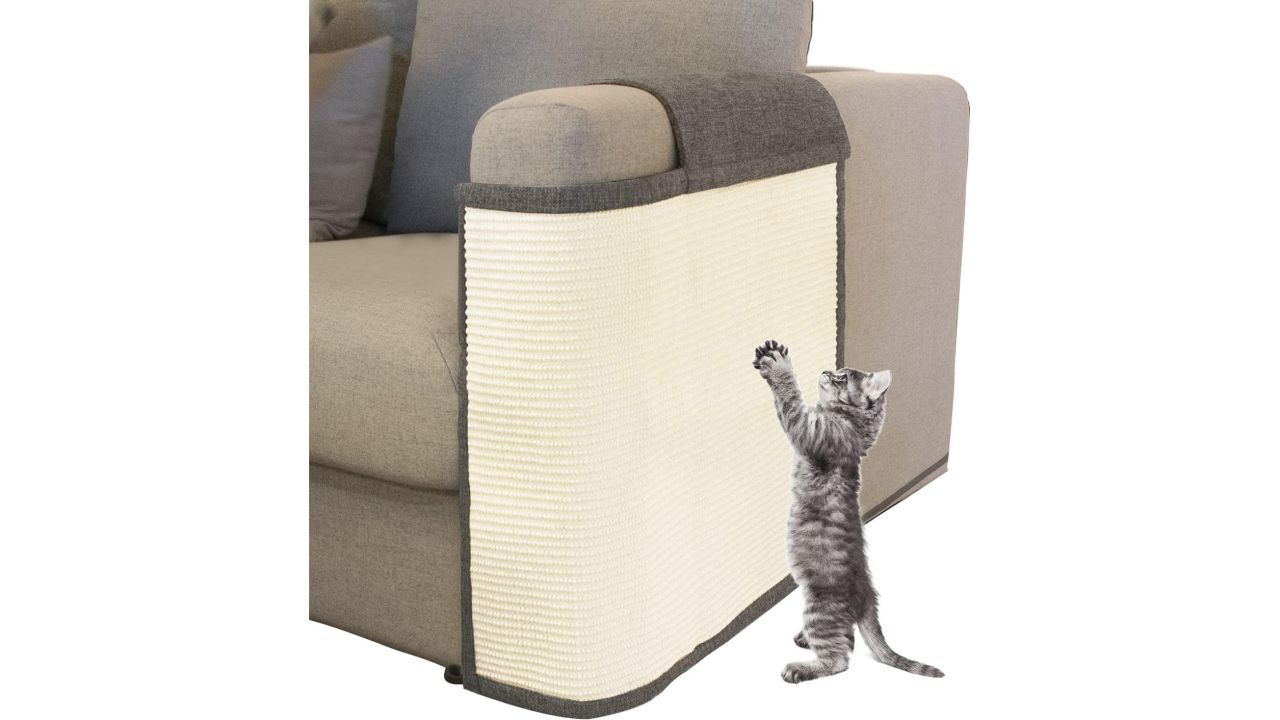 How to stop cats & pets from ruining furniture CNN Underscored