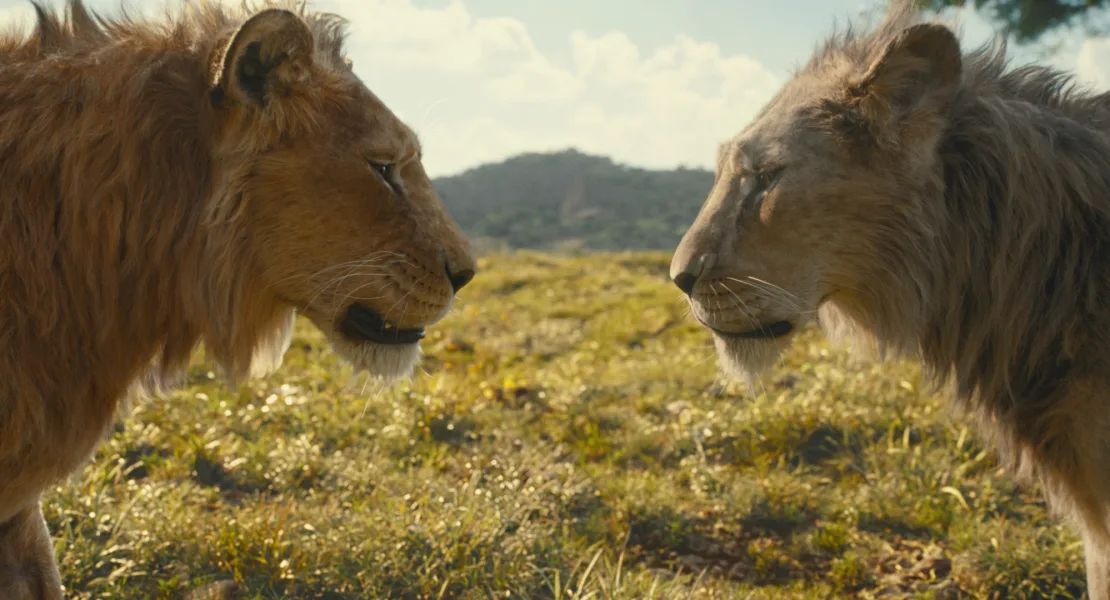 "Mufasa: The Lion King": examina la turbulenta relación entre los hermanos Mufasa y Scar. disney