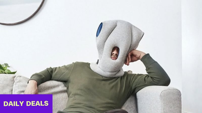 Buy 2024 ostrich pillow