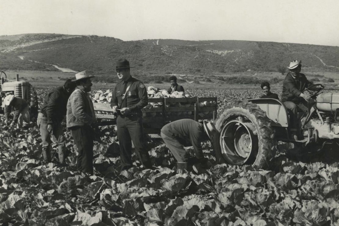 Patrol agents check the papers of agricultural workers in the 1950s. While the <em>bracero</em> program provided a legal pathway for guest workers, crackdowns on illegal immigration were also common during that period.