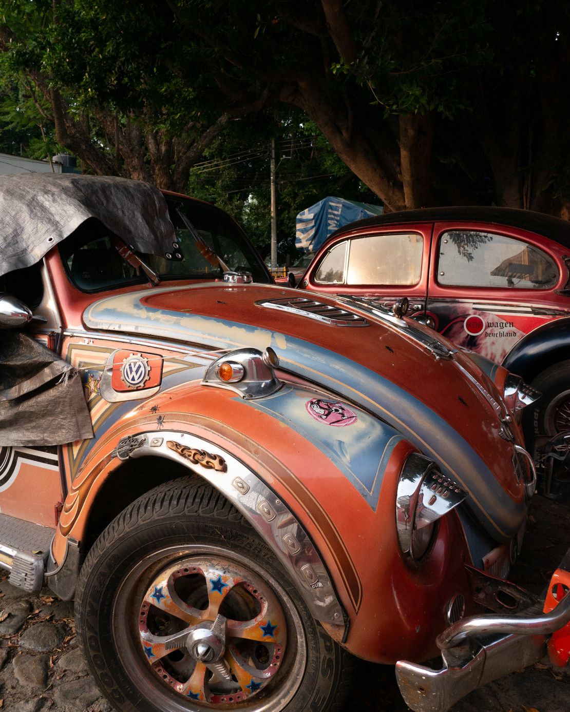 Two vibrant, carefully-remodelled Vochos with their signature curved bonnets in Oaxaca de Juarez, Mexico.