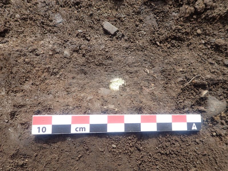 Enigmatic Gold Foil Figures Unearthed in Norway: Unveiling the Secrets