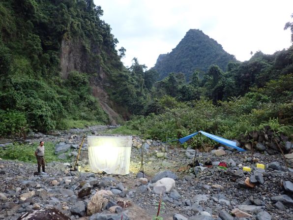 Thirty scientists from different universities and conservation groups were on the trip, specializing in a wide range of species. Here, scientists set up a light trap in Makira to survey invertebrates at night.