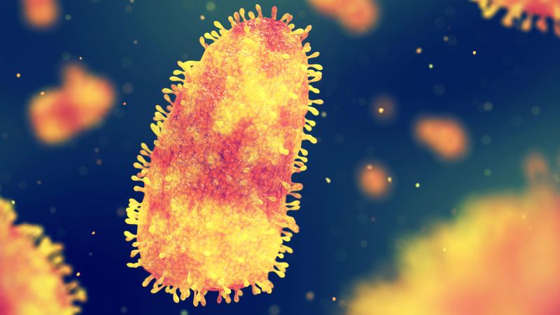 6 people have died from rabies in the US in the past 12 months. What to know