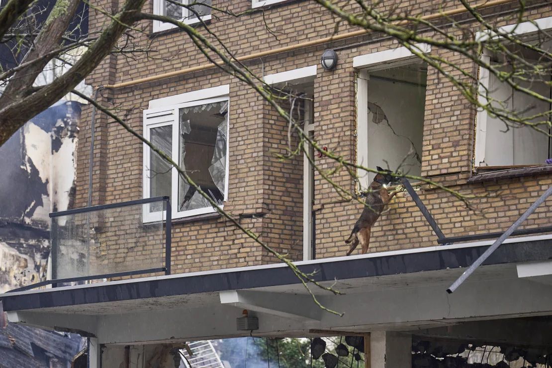 Un perro de búsqueda y rescate mira dentro de una ventana rota en el lugar de la explosión.