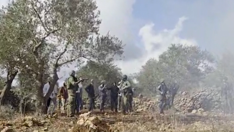 Video: Palestinian olive pickers attacked over and over