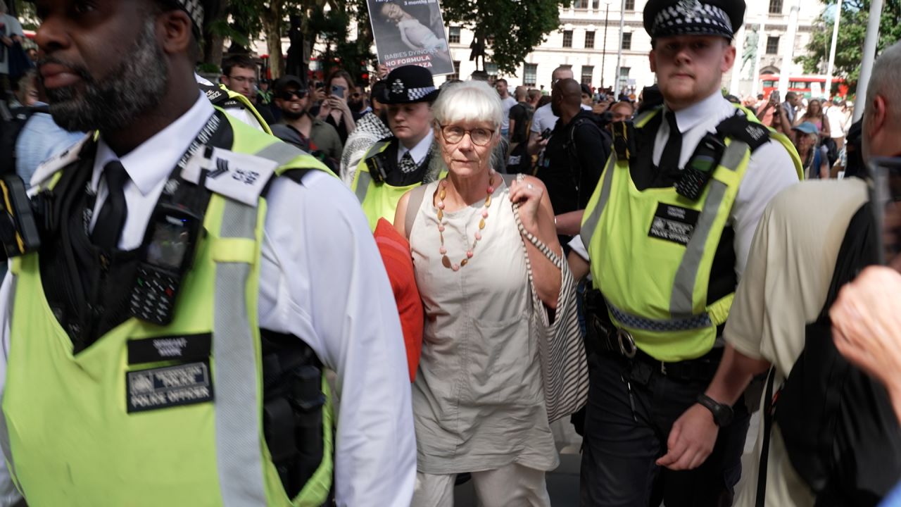 London police detain a woman for expressing support for Palestine Action, which has been designated as a terrorist group, on August 9, 2025.