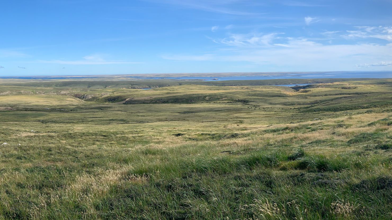 A panoramic view of the Falkland Islands shows a windswept, treeless landscape. Scientists have discovered the islands in the South Atlantic Ocean were once home to a temperate rainforest.