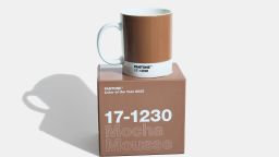 Pantone color of the year 2025 mocha mousse