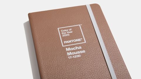 pantone marrón.jpg