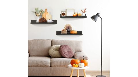 Pantric 16-inch Black Floating Shelves