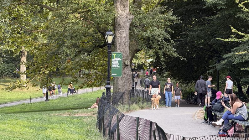 A sign is far away in Central Park