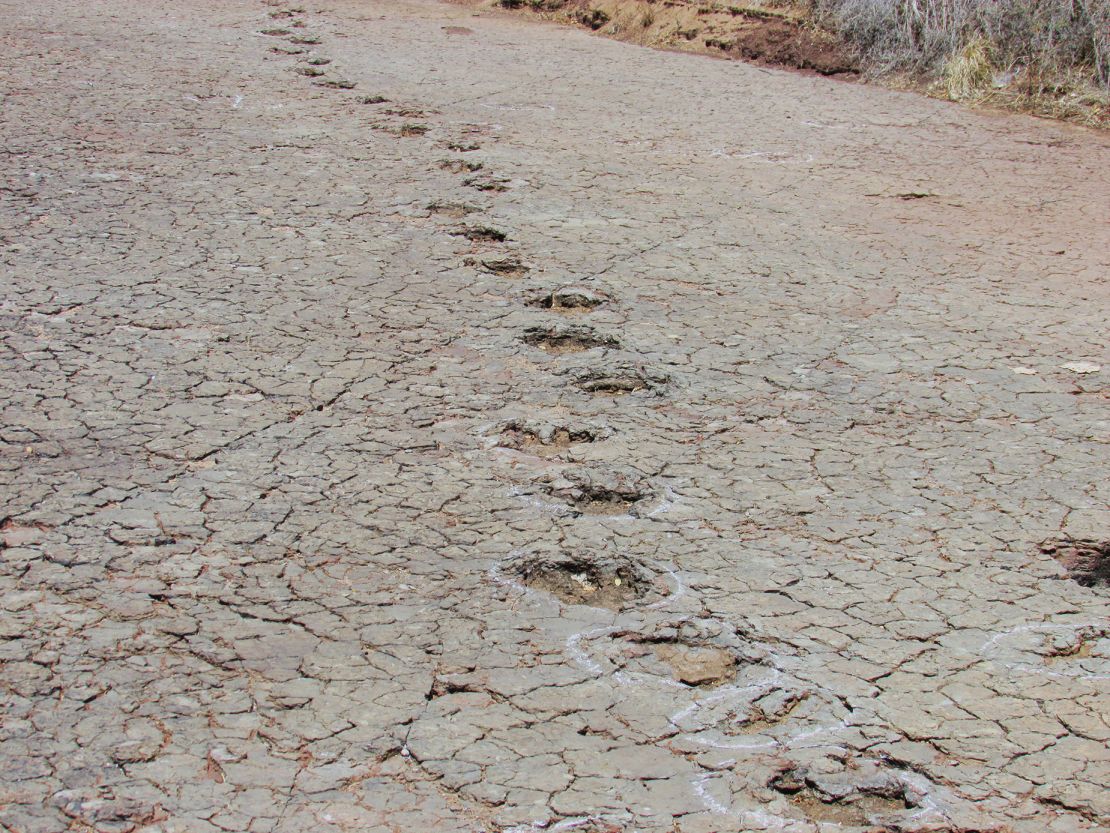 Footprints belonging to dinosaurs were preserved in floodplain deposits within the Sousa Basin in Brazil.<strong> </strong>