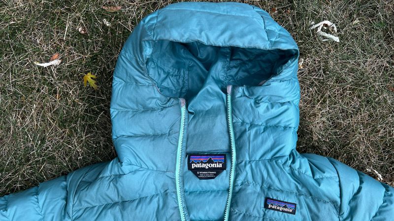 Patagonia down best sale sweater temperature