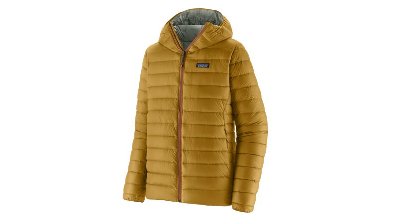 The Patagonia Down Sweater Hoody review CNN Underscored