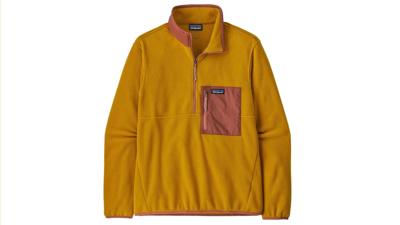 Patagonia Microdini Half-Zip Pullover.jpg