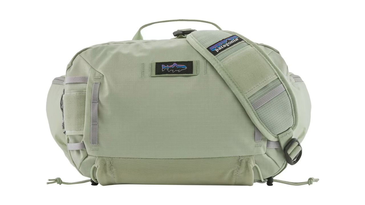 Patagonia Stealth Hip Pack .jpg