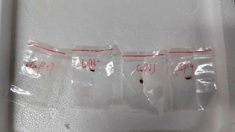 Las autoridades se incautaron de patógenos vegetales tóxicos que un científico chino introdujo de contrabando en su maleta cuando intentaba entrar en EE.UU. el año pasado.