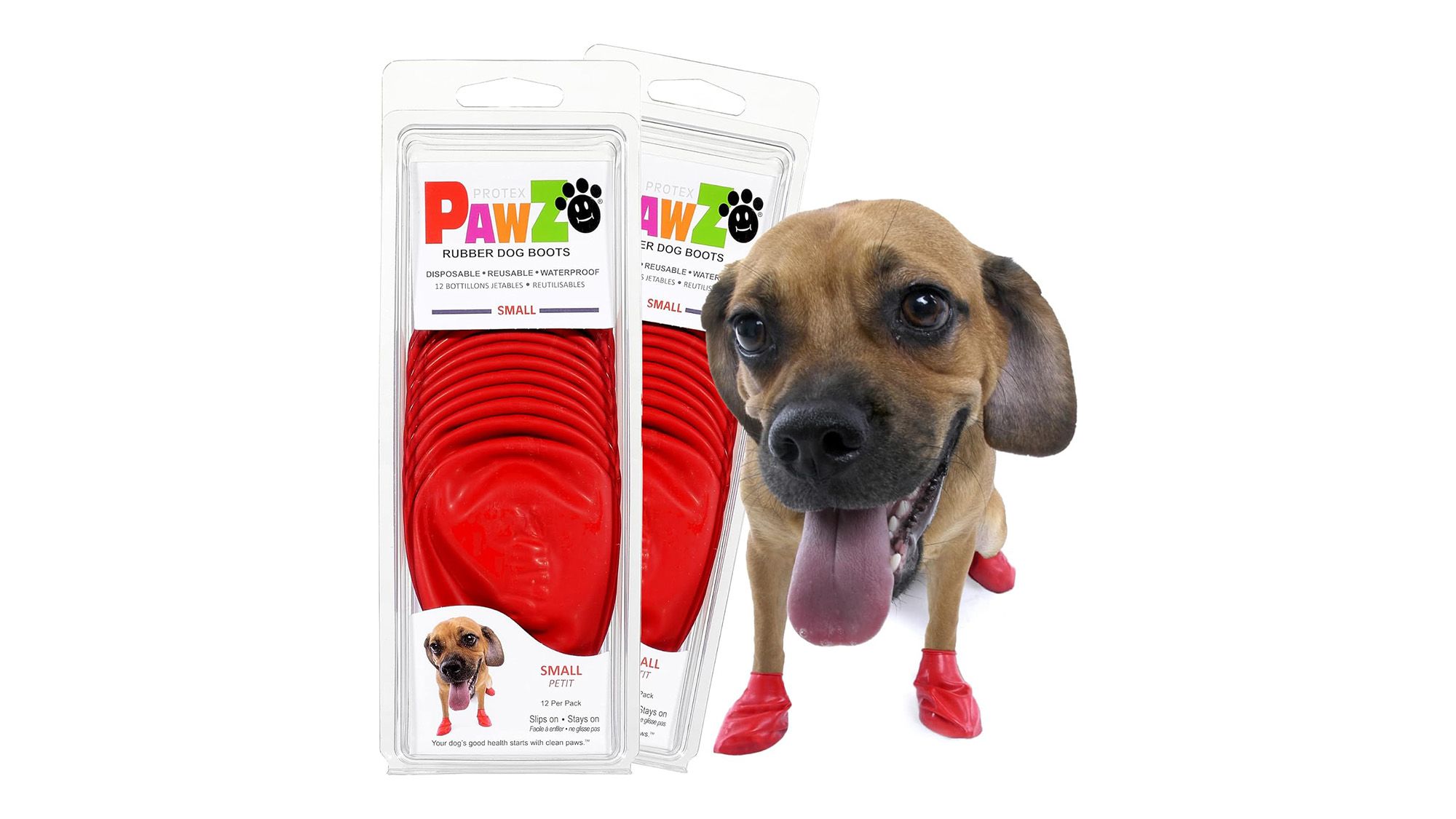 8 Best Dog Boots 2022 - Winter Shoes for Puppies and Dogs