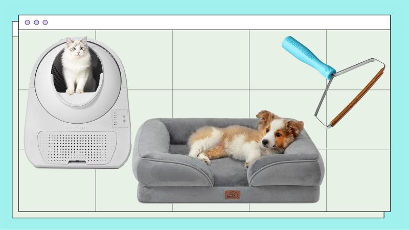 34 best pet deals: Amazon Prime Day 2023 | CNN Underscored