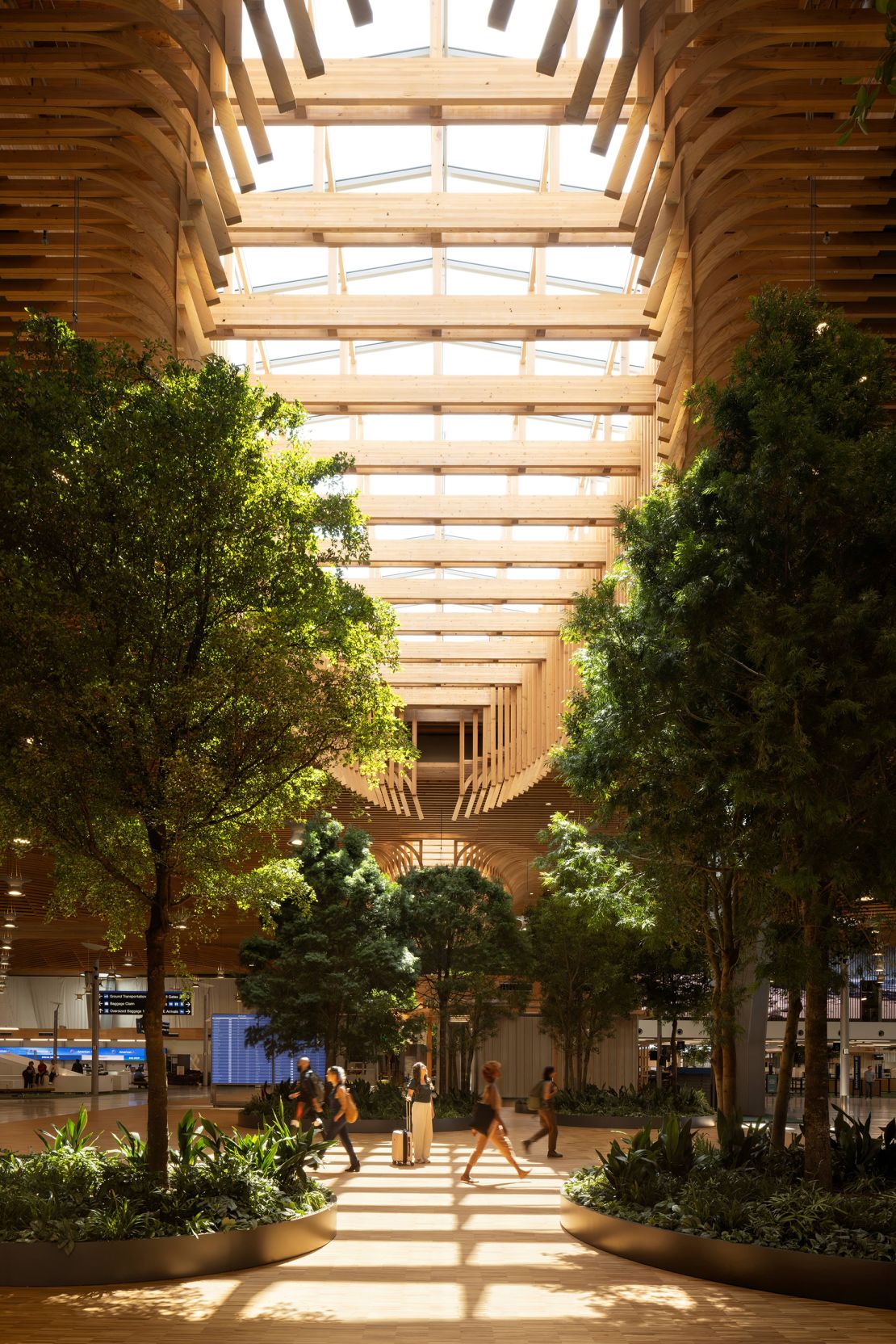 The airport is attempting to provide an arboreal atmosphere with big trees and a lots of natural sunlight streaming into the overhauled terminal.