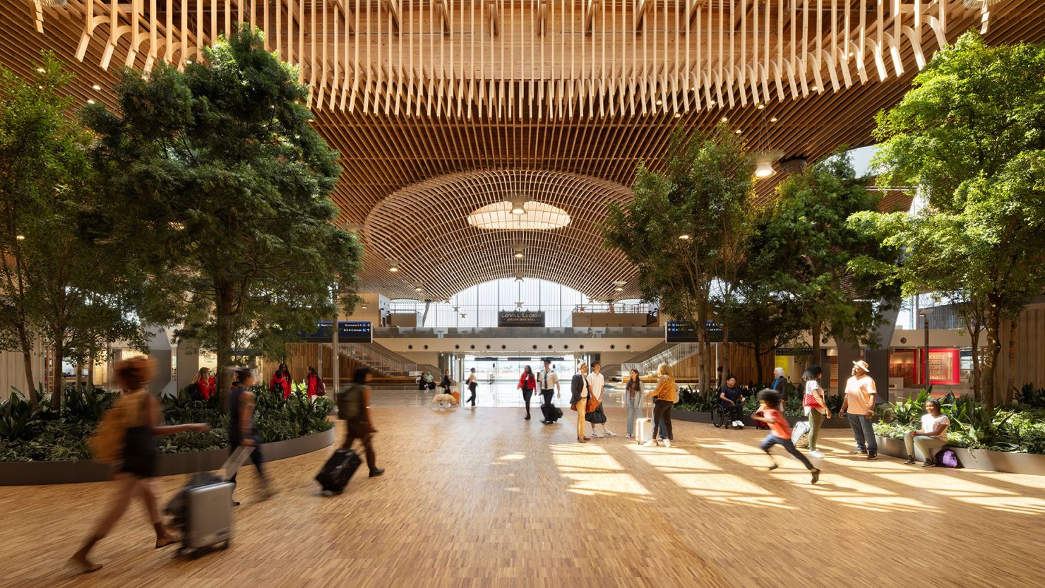 Portland International Airport in Oregon went all-in with a back-to-nature feel for its main terminal, including its eye-catching ceiling. The Port of Portland said 100% of the wood in the project was sourced within 300 miles (480 kilometers) of PDX.