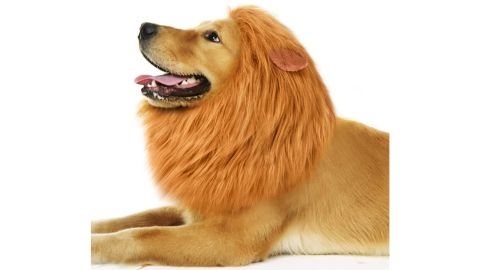 CPPSLEE Lion Mane for Dog Costumes
