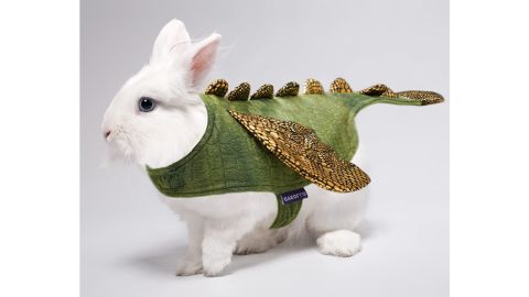 cyeollo Small Animal Costume Dinosaur Cosplay