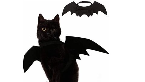 Pet Cat Costume Halloween Bat Wing