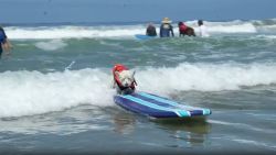 perro surf ok2.jpg