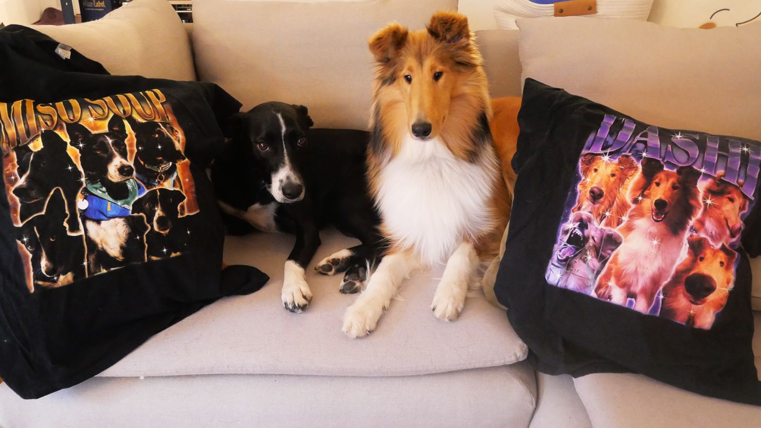 The Top 24 Luxury Dog Gifts You Need to Buy Now