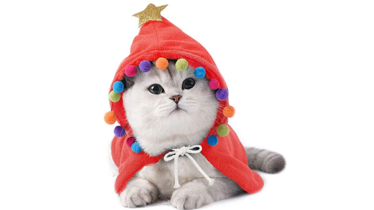 Aniac Christmas Cat Cloak