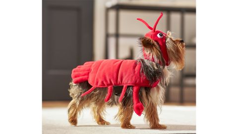 Frisco Red Lobster Dog & Cat Costume
