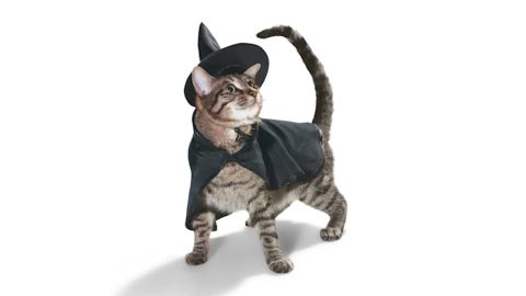 Bootique Witch Costume for Cats