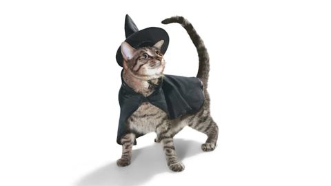 Cat Bootique Witch Costume