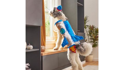 Frisco Rocket Ship Dog & Cat Costume