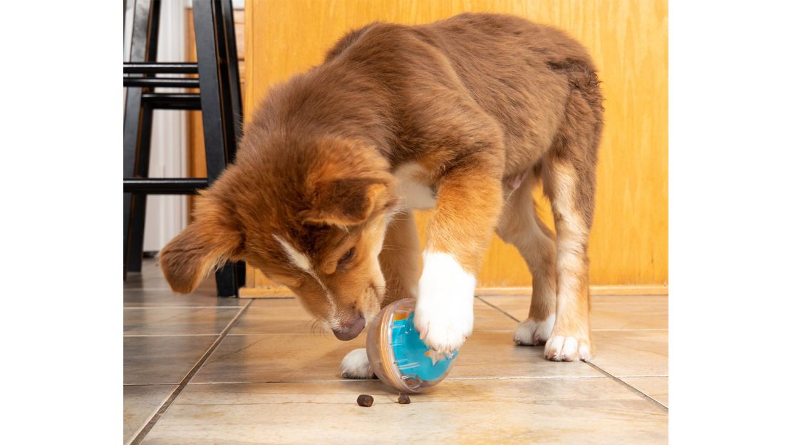 Pet Zone - IQ Treat Ball - Activity Treat Dispenser - 4 M - L Size Dogs -  New