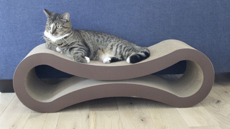 How to stop cat scratching lounge best sale