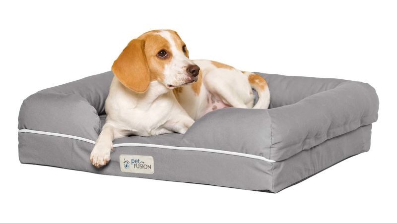 Best durable dog outlet bed