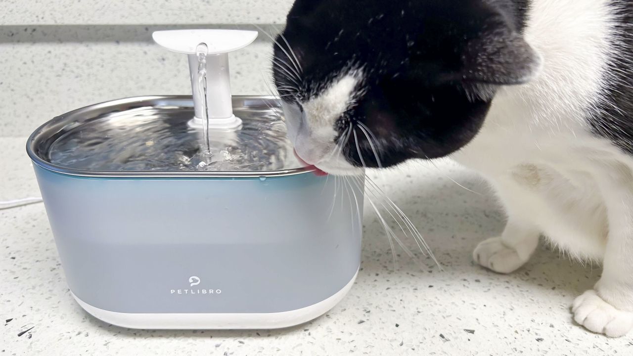 petlibro-capsulefountain-2-cnnu.jpg