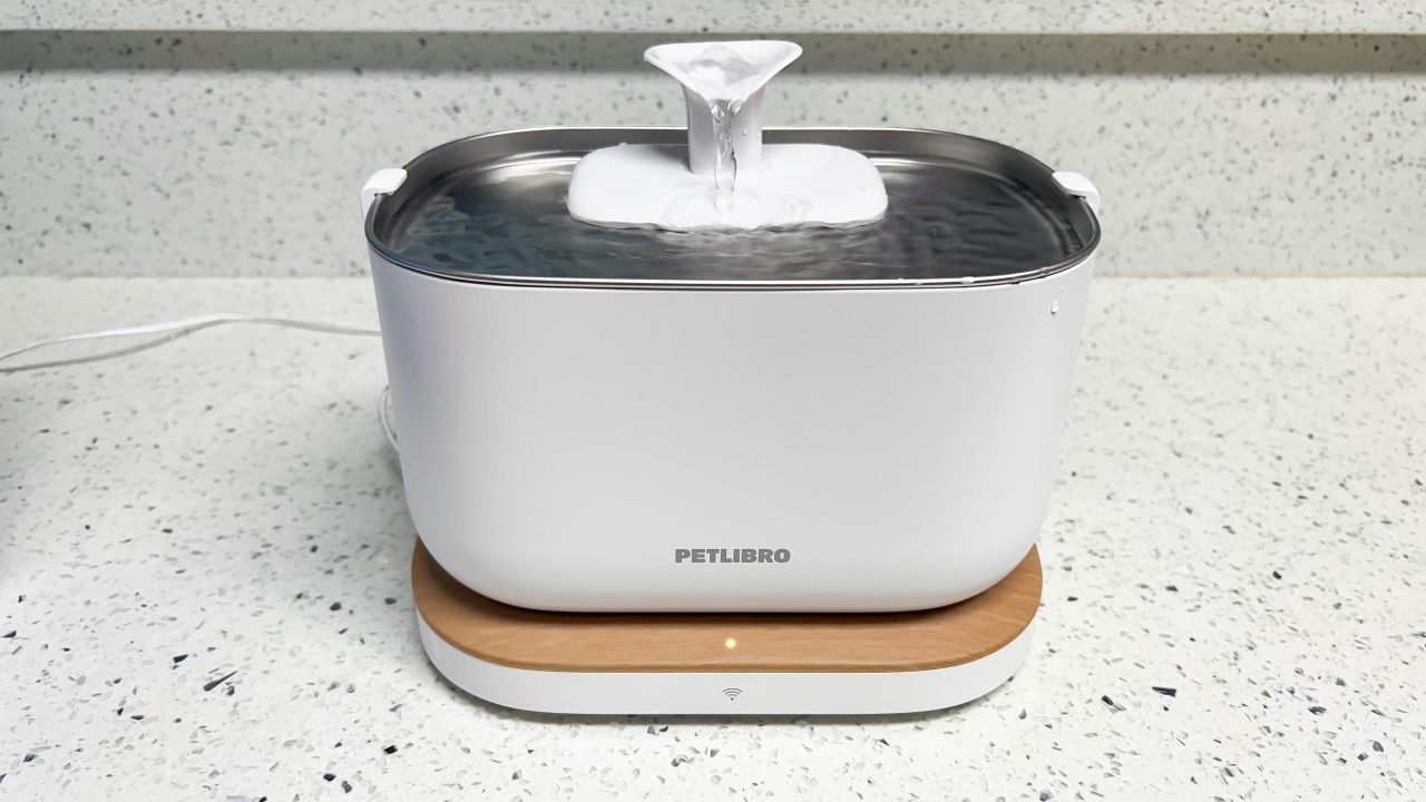 petlibro-dockstreamsmartfountain-1-cnnu.jpg