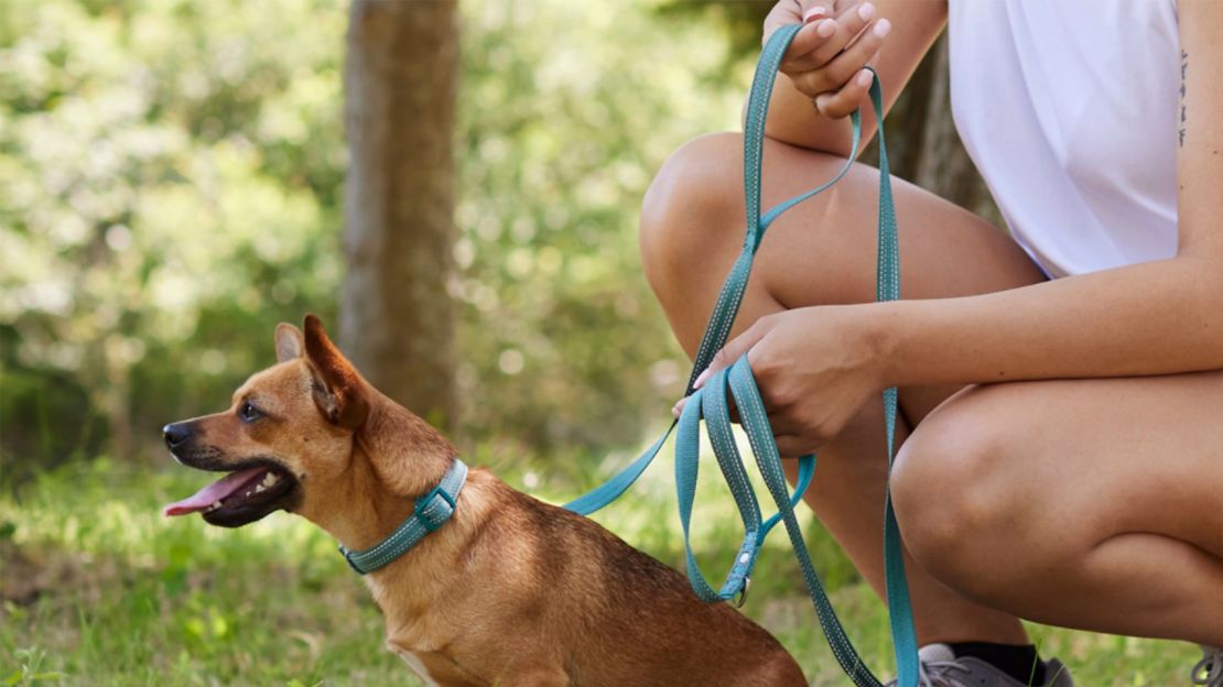 Chewy Brown Dog Harness Leash Set