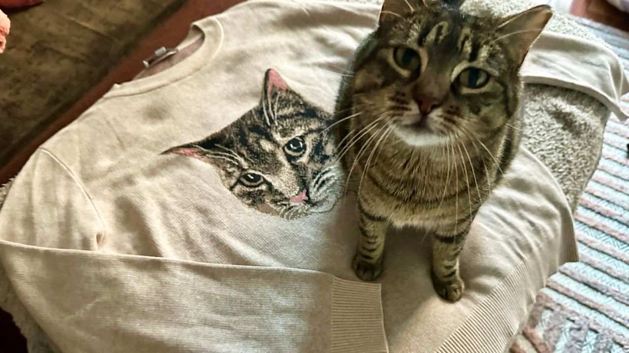 phoebe sweater.jpg