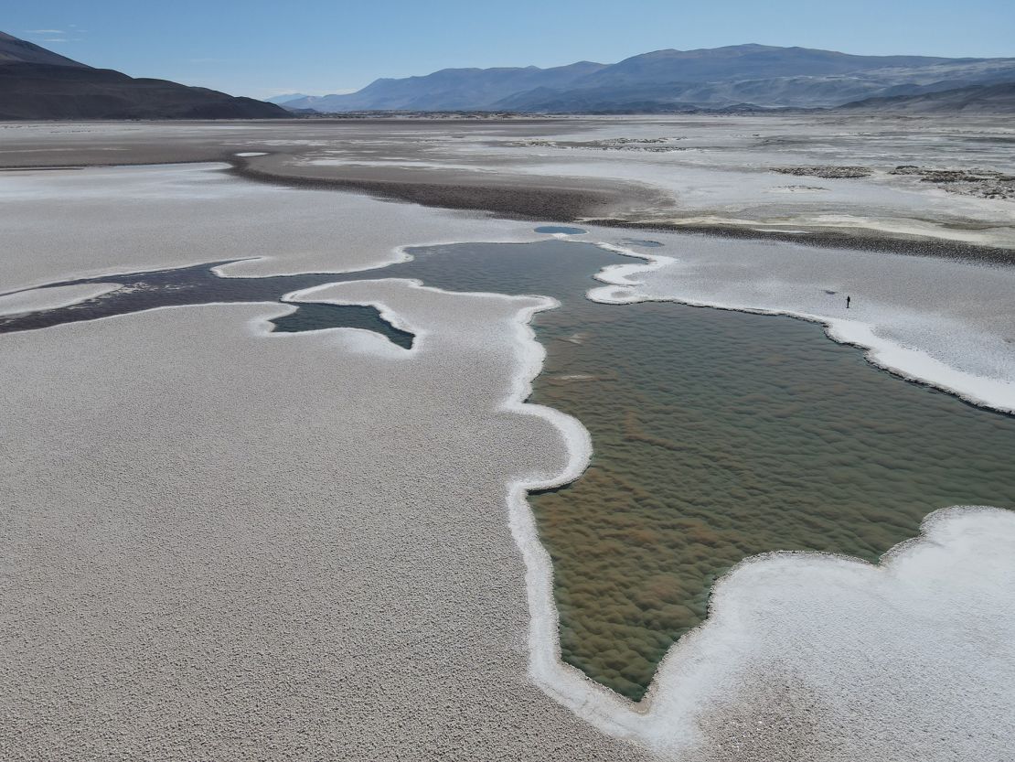 The newly discovered giant stromatolites in Puna de Atacama are mostly composed of the minerals gypsum and rock salt.