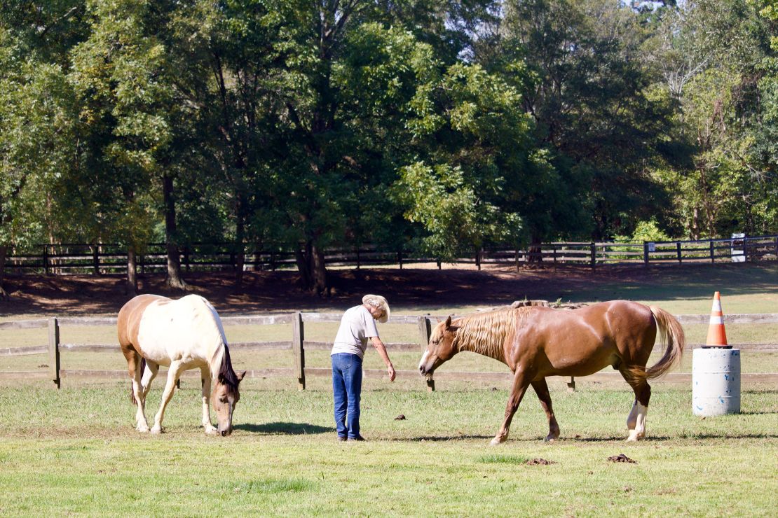 The team at Stride Ahead demonstrates what a horse therapy session might look like. Sessions typically last an hour.